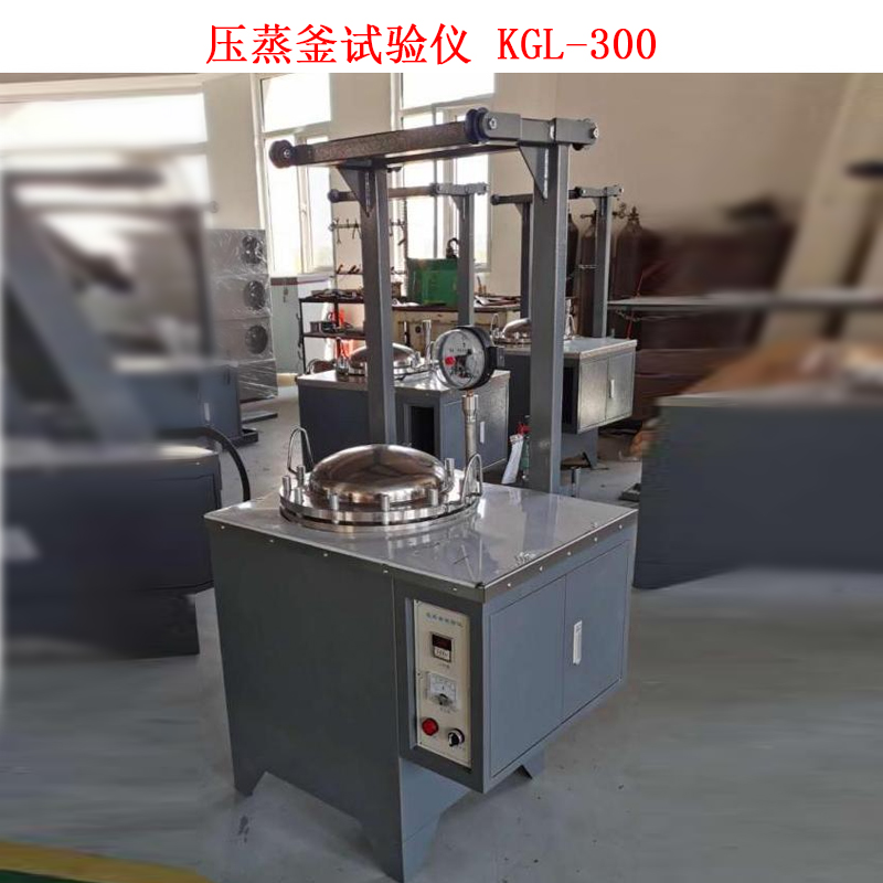 壓蒸釜試驗儀 KGL-300的技術(shù)參數(shù)及結(jié)構(gòu)特點